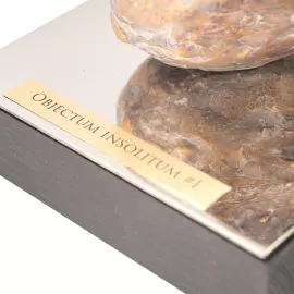 Авторская скульптура из бронзы "Неопознанный объект #1"